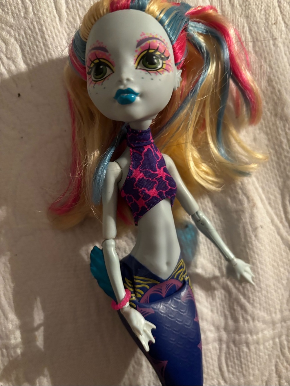 Monster High and Ever After High Bundle
